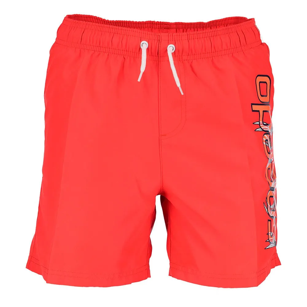 Speedo Graphic Leisure 15´´ Badeshorts, Red Speedo Graphic Leisure 15´´ Badeshorts, Red