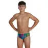 Speedo Hyperchromatic Allover 6.5 Cm Badeslip male