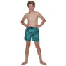 Speedo Junglerain 15´´ Badeshorts