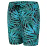 Speedo Junglerain 15´´ Badeshorts