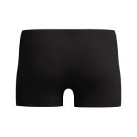 Speedo Medley Logo Badeshorts male