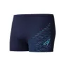 Navy / sugar blue