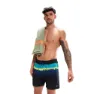 Speedo Placement Leisure 16´´ Badeshorts