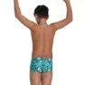 Speedo Pond Life 13 Cm Club Training Allover Badeslip