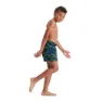 Speedo Printed 13´´ Badeshorts