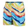 Speedo Printed Leisure 14´´ Badeshorts