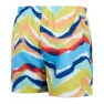 Speedo Printed Leisure 14´´ Badeshorts