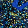 Speedo Printed Medalist Badeanzug female, Black / cobalt pop / bolt / lemon drizzle, 5-6Y