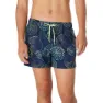 Speedo Printed Volley 14´´ Badeshorts