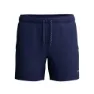 Speedo Solid Redondo Edge Volley 16´´ Badeshorts
