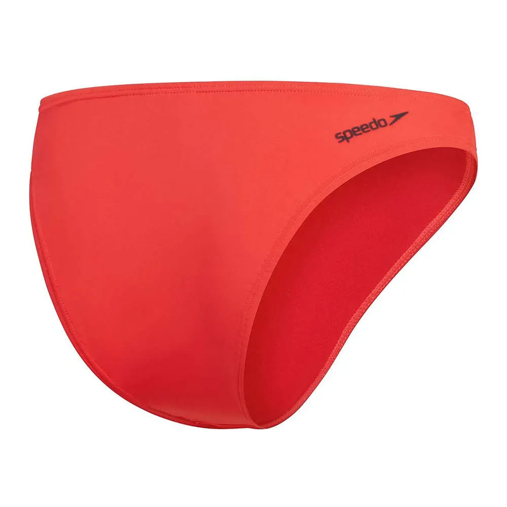 Speedo Solid Scoop Bikini-höschen female