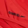 Speedo Solid Scoop Bikini-höschen female