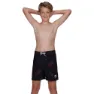 Speedo Star Wars Allover 15´´ Badeshorts
