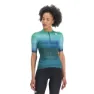 Shade spruce / juniper blue