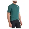 Shrub green