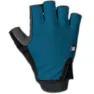 Berry blue 2