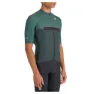 Shrub green / scarab
