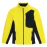 Acid yellow
