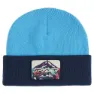 True navy