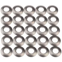 SRAM 202 Firecrest/454 Titanium Nippelunterlegscheibe 25 Einheiten SRAM 202 Firecrest/454 Titanium Nippelunterlegscheibe 25 Einheiten