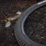 Stans NoTubes Flow MK4 Disc 29" Felge