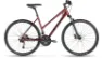 Stevens 6X Lady Cosmos Violet 2023 28" Trapez