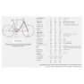 Stevens E-molveno Forma Gen1 2025 Elektrofahrrad