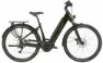 Stevens E-Triton 7.6.1 Forma Deep Green 28" 625 Wh Wave, Hersteller-deep green, 46cm