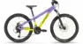 Stevens Team RC Space Black 24" Diamant