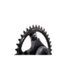 Stone Sram Force Axs 107 Bcd Kettenblatt