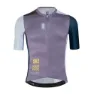Purple / gray