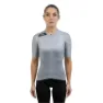 Silt gray 2
