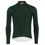 Dark green 1