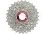 Silver / red