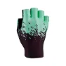 Black / celest