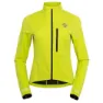 Yellow lime 2