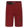 SWEET Protection Hunter Kurze Hose