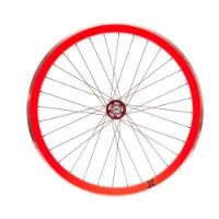SXT 29 Single Speed/fixie 40 28´´ 700c Hinterrad SXT 29 Single Speed/fixie 40 28´´ 700c Hinterrad