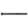SXT 321156 Steckachse, Black, 163mm