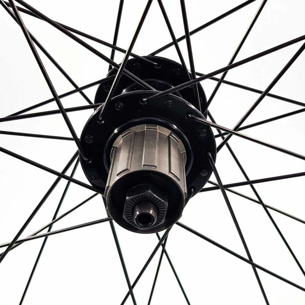 SXT 388598-1 Neuro Disc 2r Qr 6b 26´´ Mtb Hinterrad, Black, One Size, Shimano/Sram HG SXT 388598-1 Neuro Disc 2r Qr 6b 26´´ Mtb Hinterrad, Black, One Size, Shimano/Sram HG