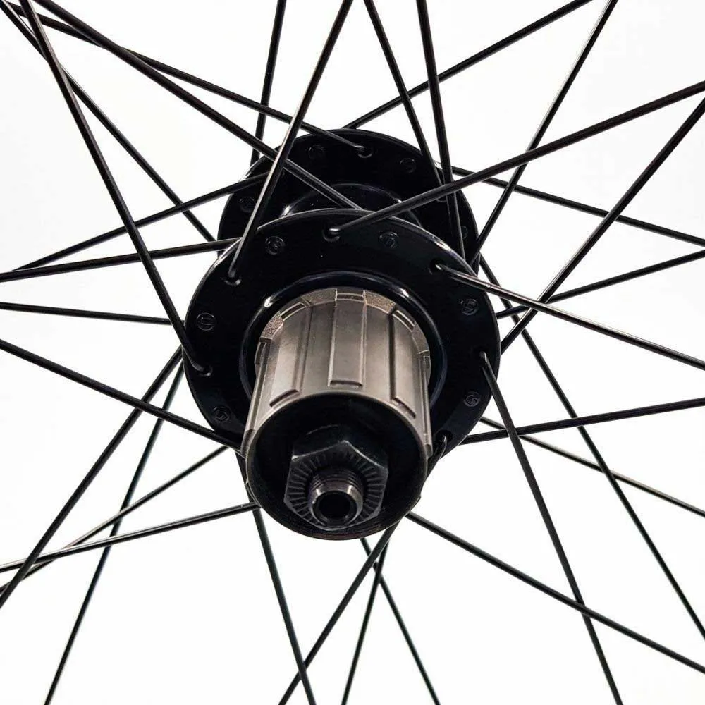 SXT 388599 Neuro Disc 2r Qr 6b 26´´ Mtb Hinterrad, Black, One Size, Shimano/Sram HG SXT 388599 Neuro Disc 2r Qr 6b 26´´ Mtb Hinterrad, Black, One Size, Shimano/Sram HG