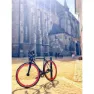 SXT Singlespeed 1 1/8 Size 58 Gabel
