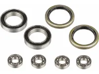 Syntace Ersatzlager Kit für NumberNine Titan WDR Syntace Ersatzlager Kit für NumberNine Titan WDR