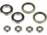 Syntace Ersatzlager Kit für NumberNine Titan WDR, One_size