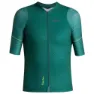 Noord green
