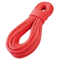 Tendon Canyon Dry 9 Mm Seil Tendon Canyon Dry 9 Mm Seil