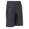 Whales grey