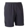 Whales grey