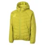 Citrus green