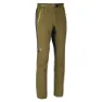 Olive green / whales grey